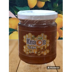 Doğal Çam Balı (500g)