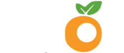 Footer Logo