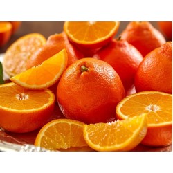 Dalından Portakal - 1 Kasa -11 kg (Coğrafi İşaretli)